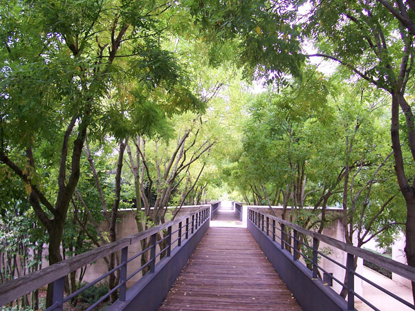 Алхимия, танцующие фонтаны и самый большой в мире воздушный шар: парк ...