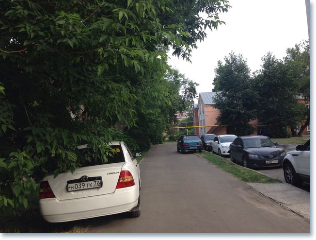 как паркуются в Барнауле