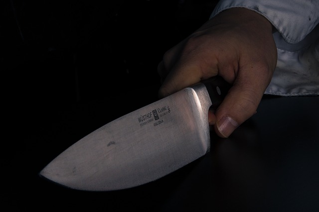 Жительница Барнаула с ножом напала на двух детей
