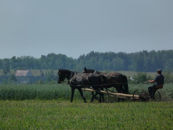 Алтайский край готовится к Всероссийской сельскохозяйственной переписи