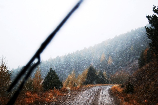 Мокрый снег и дожди ожидаются в Алтайском крае