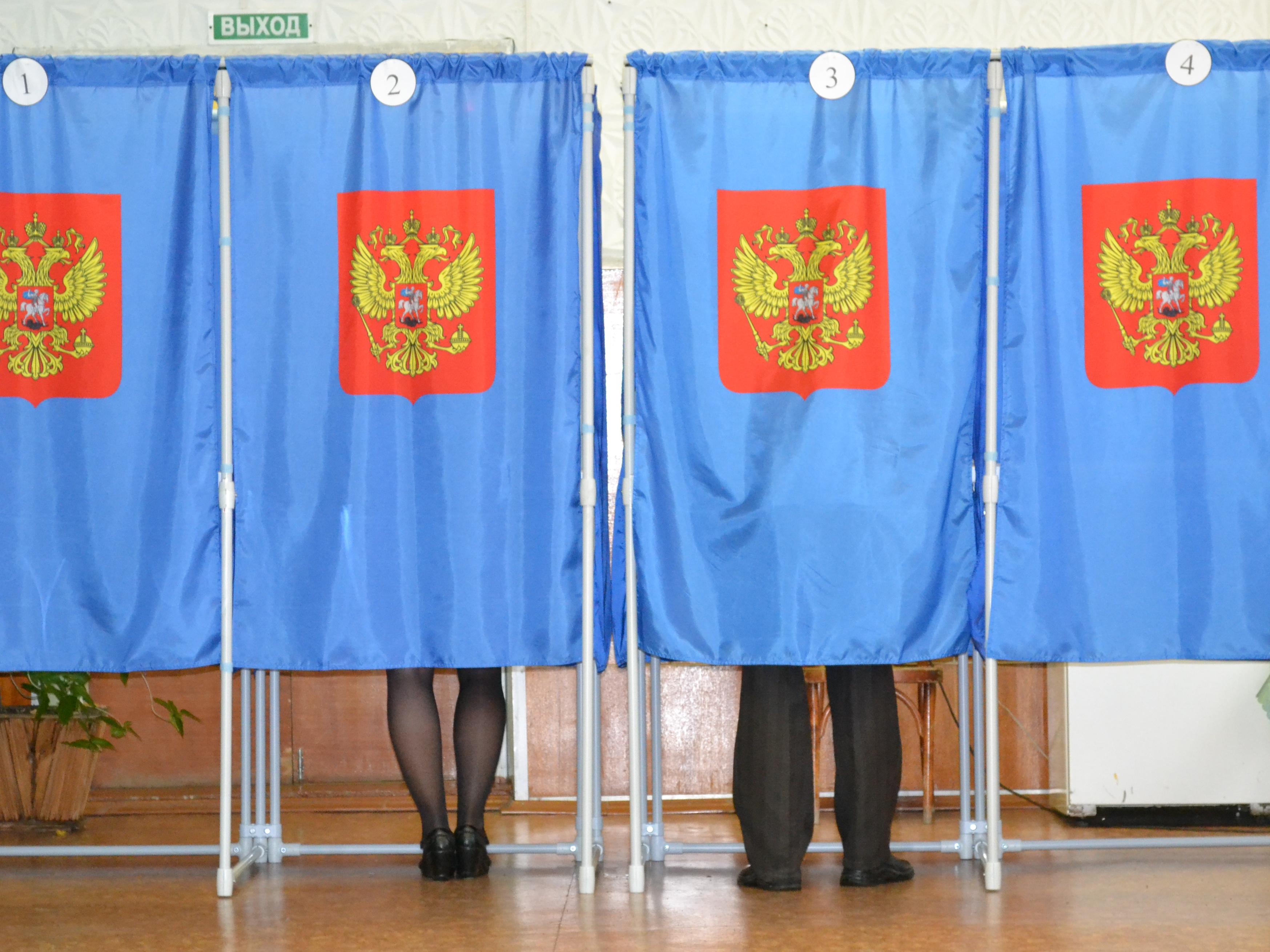 Явка на выборах в Алтайском крае составила 25,79%