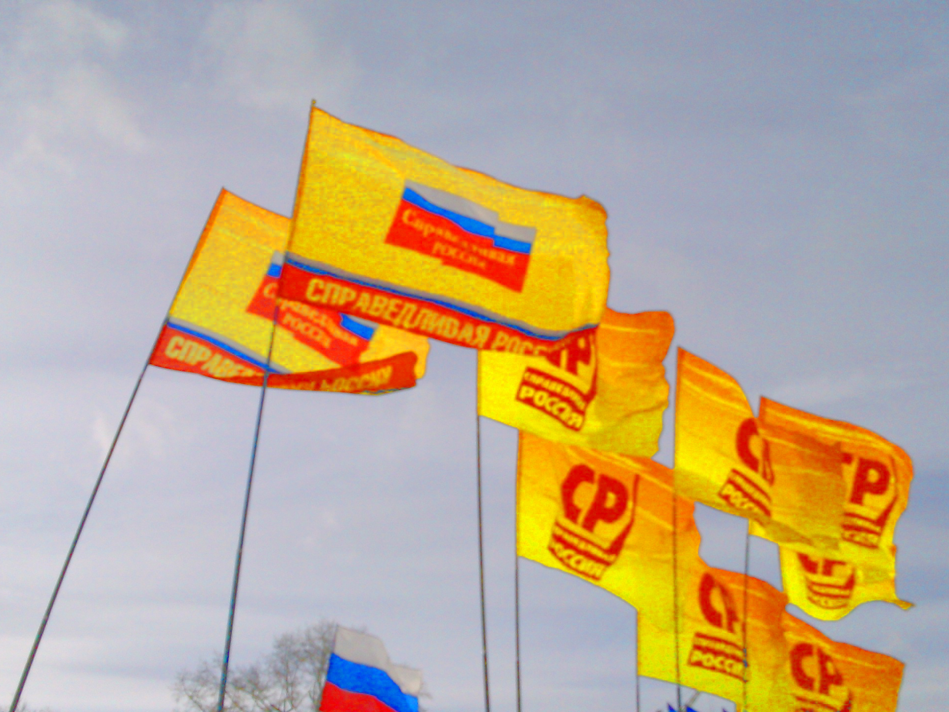 Алтайские справороссы займут 17 депутатских кресел по итогам мунципальных выборов