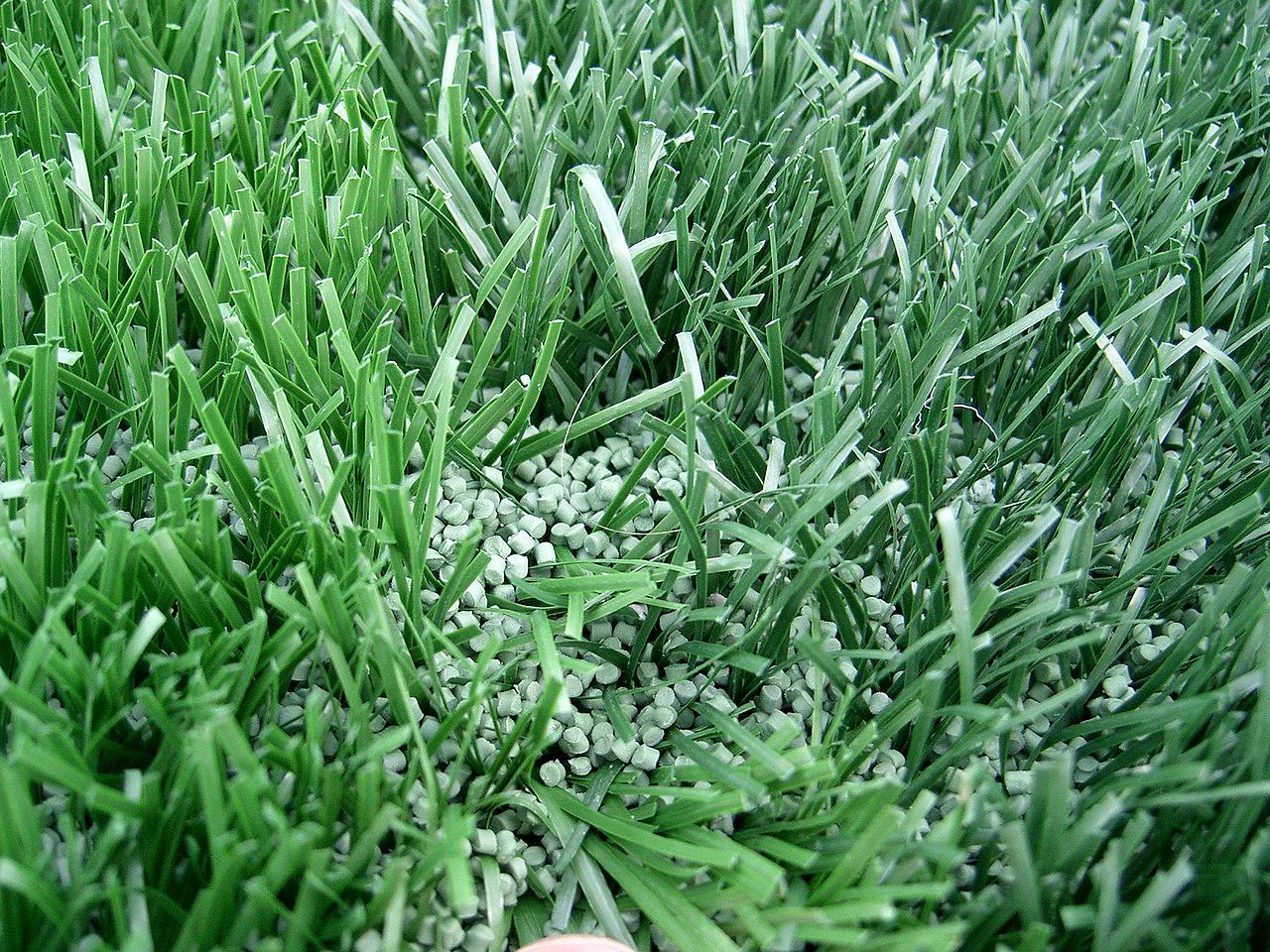 искуственная трава алтайские край футбольное поле