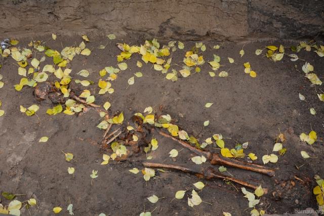 Останки человека обнаружили во время террасирования Нагорного парка
