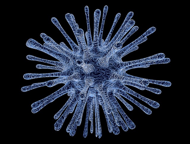 Ученые обнаружили в Сибири гигантстский вирус