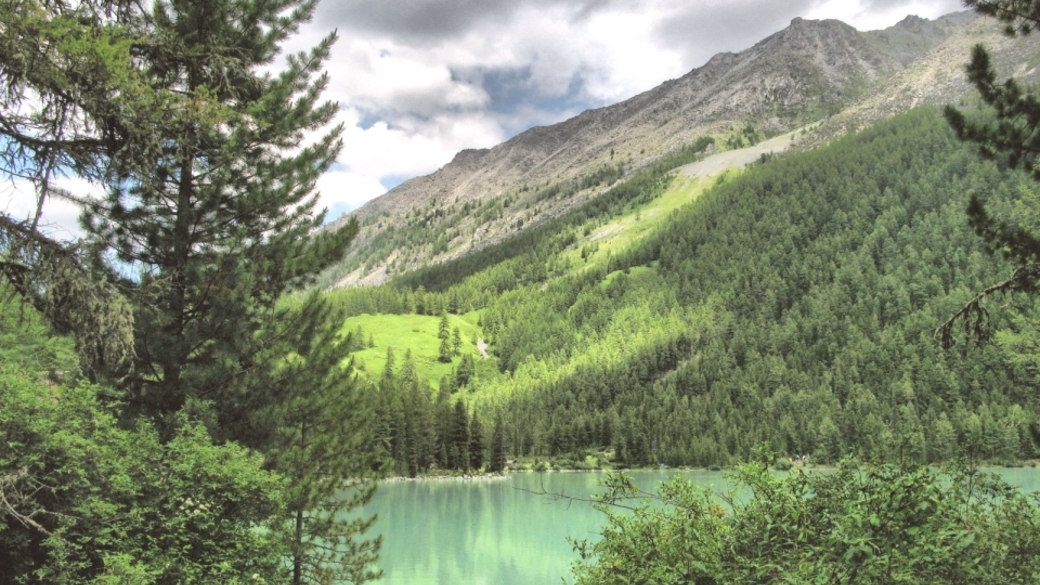 Горный алтай ресурсы. Река аккем горный алтай. Горно алтайск горы. Рекреационные ресурсы алтая. Горный алтай.