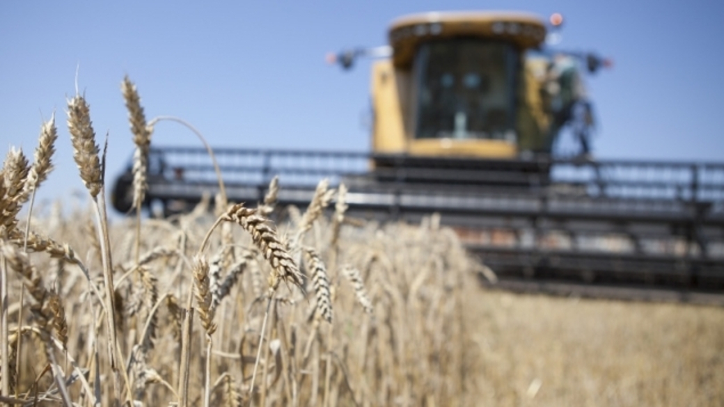 С х западной сибири. Сельское хозяйство Северо Запада. Кредитование сезонных полевых работ увеличилось на 45%. Ейск фото сельскохозяйственные предприятия. Кредитование сезонных полевых работ увеличилось на 29,2 процента.