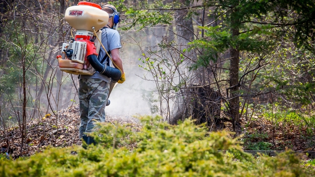 средства для борьба с вредителями. защита участка от клещей. защитные лесные насаждения. химическая обработка леса. обработка дерева от короеда.
