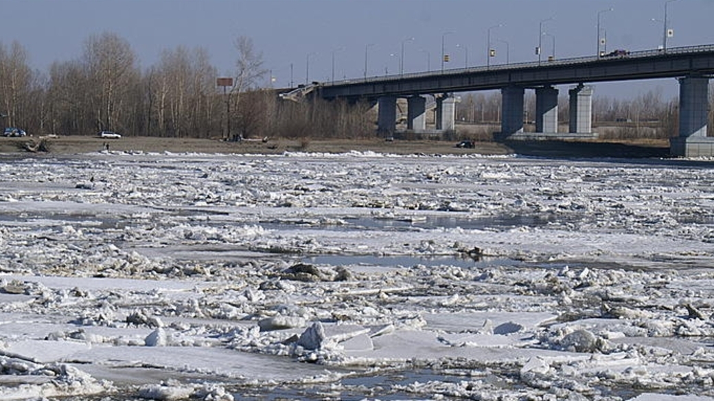 Уровень воды в реках алтайского края сегодня. Падение Катуни в Обь.