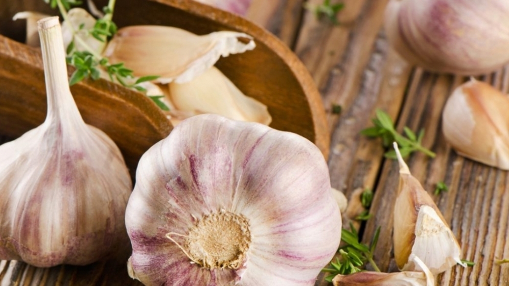 Фото: hayafisha.ru