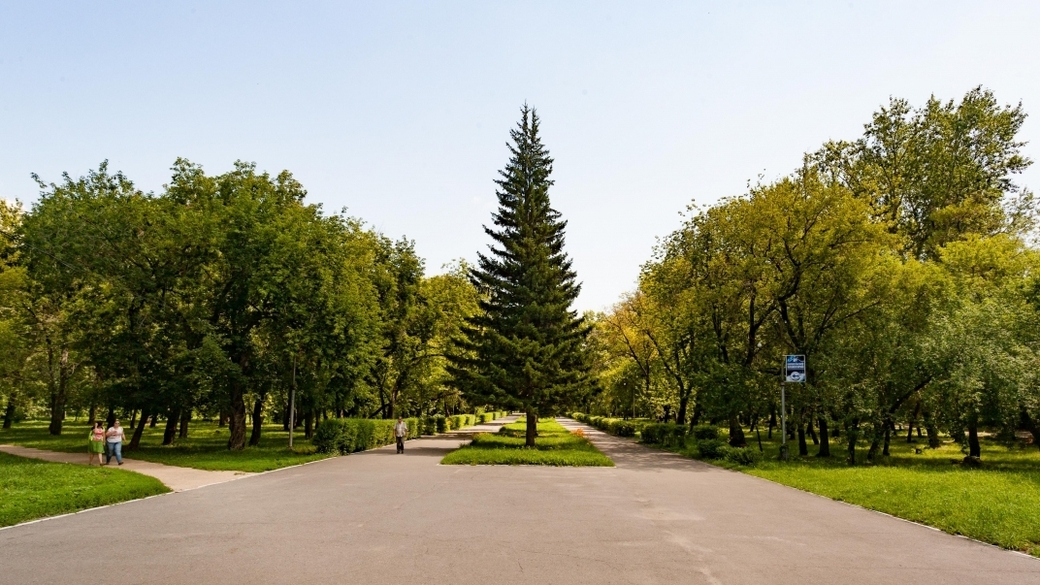 Парк барнаул сайт. Парк изумрудный Барнаул. Парк изумрудный Барнаул летом. Центральный парк Барнаул.