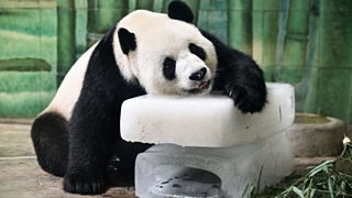 Что нельзя делать в жару. Смотреть фото Что нельзя делать в жару. Смотреть картинку Что нельзя делать в жару. Картинка про Что нельзя делать в жару. Фото Что нельзя делать в жару Что нельзя делать в жару. Смотреть фото Что нельзя делать в жару. Смотреть картинку Что нельзя делать в жару. Картинка про Что нельзя делать в жару. Фото Что нельзя делать в жару