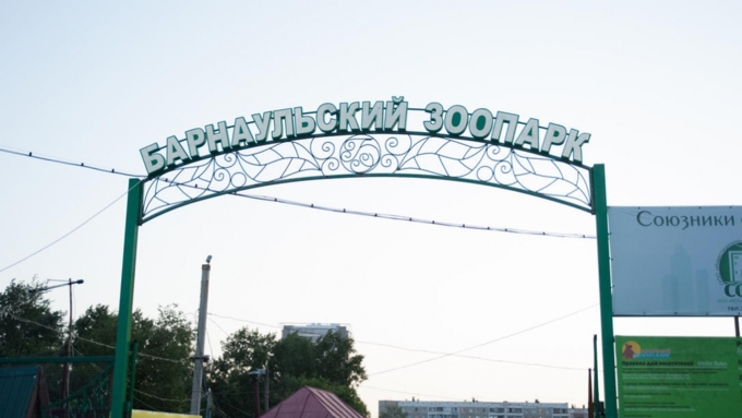 Фото: Сергей Меркулов; amic.ru