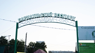 Фото: Сергей Меркулов; amic.ru