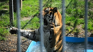 фото: Екатерина Смолихина, Amic.ru