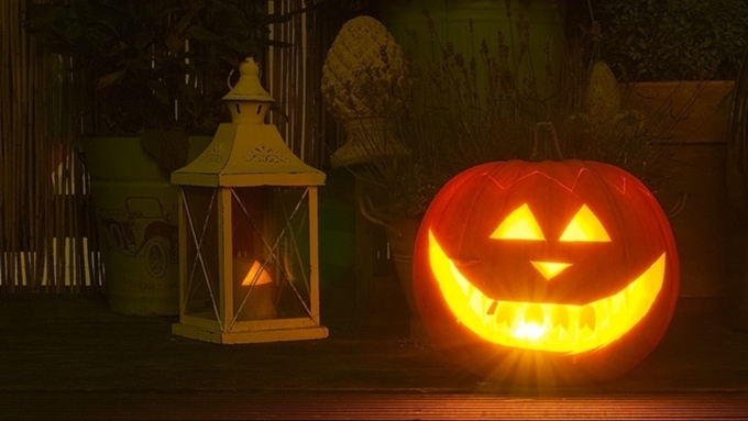 Фото: pixabay.com