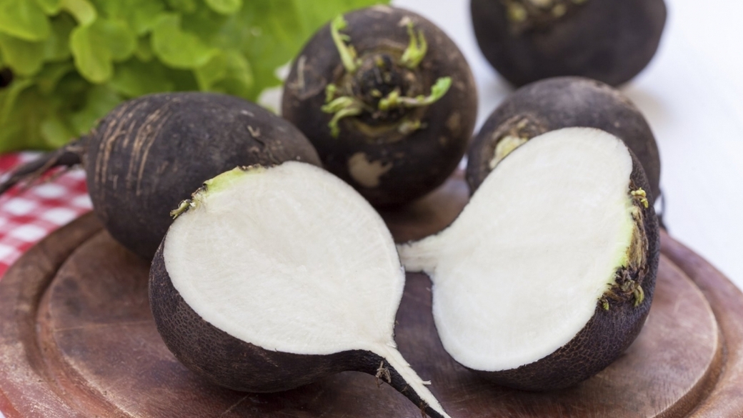 Фото: FitoHome.ru