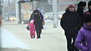 Фото: Екатерина Смолихина/Amic.ru