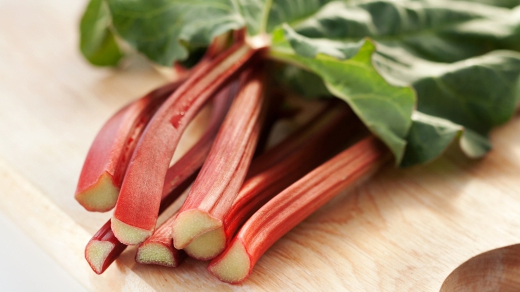 Фото: Вокруг света