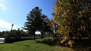 Фото: Екатерина Смолихина/Amic.ru