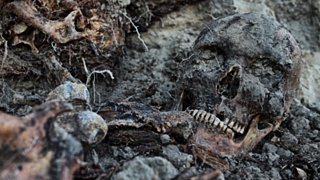 Фото: Екатерина Смолихина/Amic.ru, barnaul.fm, ok.ru