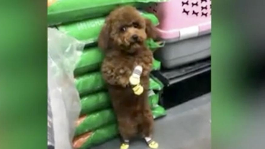 История выхода фото и впечатление пользователей