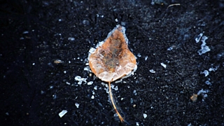 Фото: Екатерина Смолихина/Amic.ru