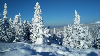 Зима / Фото: amic.ru / Константин Причиненко