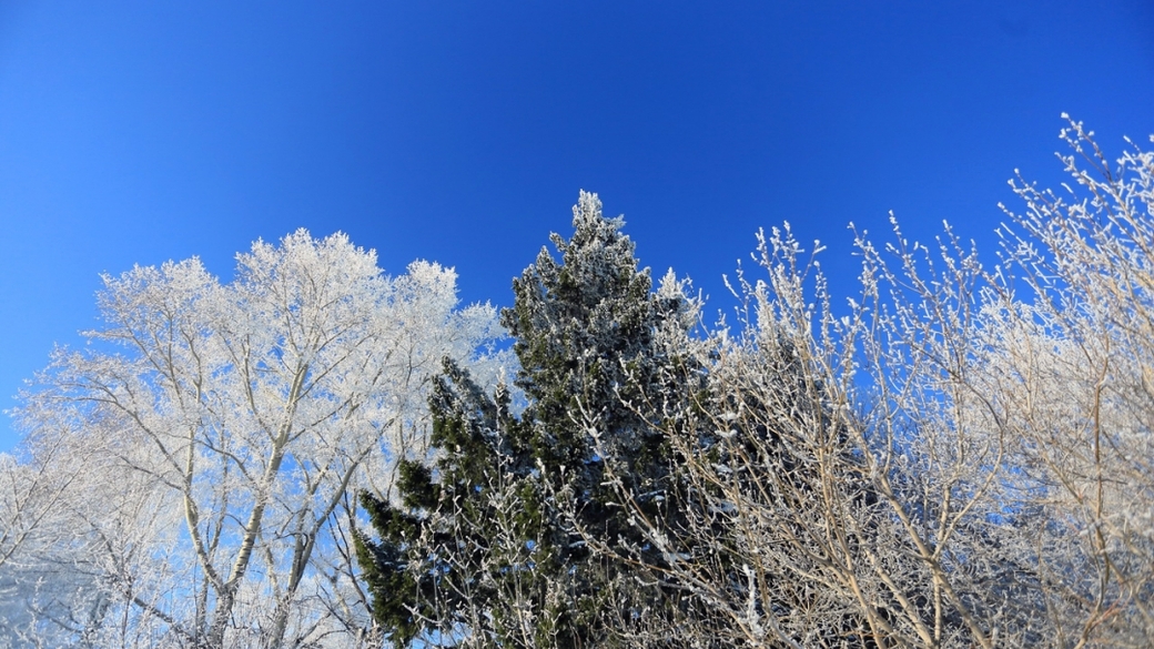 куда сходить в барнауле в январе. куда сходить в барнауле в январе. пешеходная улица барнаул. парк эдельвейс барнаул каток. куда сходить в барнауле в январе.