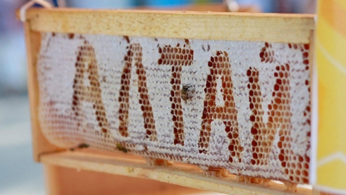 Фото: Екатерина Смолихина