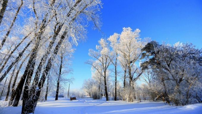 Фото: Екатерина Смолихина/ Amic.ru