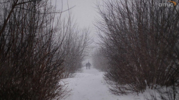 Погода / Фото: Екатерина Смолихина / amic.ru