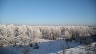 Погода / Фото: Екатерина Смолихина / amic.ru