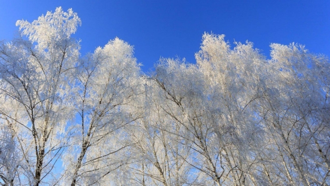 Период морозов в регионе продолжится / Фото: Екатерина Смолихина / amic.ru