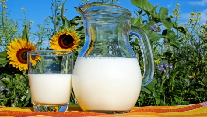Молоко и натуральные молочные продукты запретят продавать рядом с продуктами на основе заменителей / Фото: pixabay.com