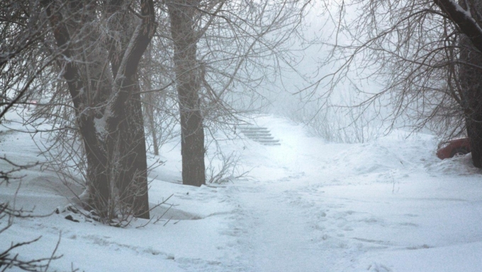 Регион готовится принять мощный зимний удар / Фото: Екатерина Смолихина / Amic.ru