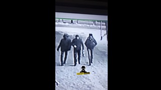 Разыскиваются трое мужчин на видео / Фото: кадр из видео
