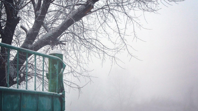 Алтайский край остается во власти морозов / Фото: Екатерина Смолихина / Amic.ru