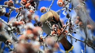 Экстремальные погодные условия позади / Фото: Екатерина Смолихина / Amic.ru