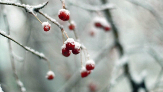 На Алтай вернулась нормальная зима / Фото: Екатерина Смолихина / Amic.ru
