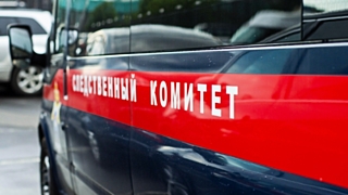 Фото: ngnovoros.ru