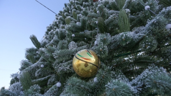 Местные жители голосуют за место размещения главной новогодней елки / Фото: Екатерина Смолихина / Amic.ru