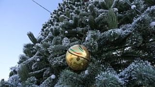 Новогодняя елка / Фото: Екатерина Смолихина / amic.ru