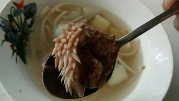 В супе курганские школьники нашли странное мясо с "белыми щупальцами" / Фото: vk.com/inckrgn