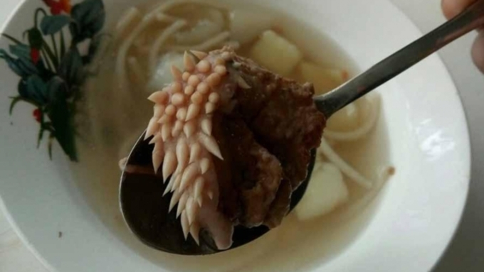 В супе курганские школьники нашли странное мясо с "белыми щупальцами" / Фото: vk.com/inckrgn