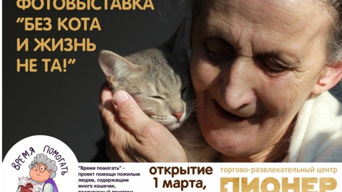 1 марта в Барнауле пройдет фотовыставка "Без кота и жизнь не та" / Фото: приют "Ласка"