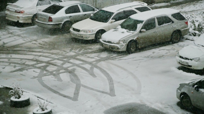 Порывы ветра в этот день будут достигать 20 метров в секунду / Фото: Екатерина Смолихина / Amic.ru