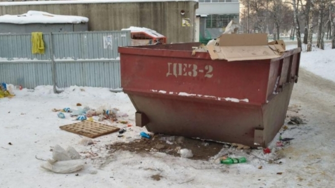В России ищут способ навести порядок на "мусорках". Фото: Александра Черданцева