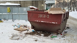 В России ищут способ навести порядок на "мусорках". Фото: Александра Черданцева